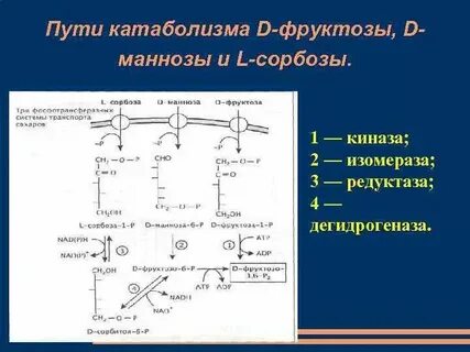 Окисление высокомолекулярных органических веществ