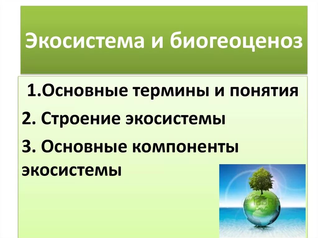 Экосистемы компоненты экосистем презентация. Биогеоценоз. Биогеоценозе. Основные компоненты экосистемы. Экосистема её основные компоненты.
