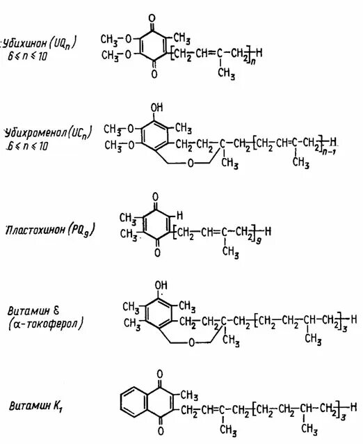 пластохинон