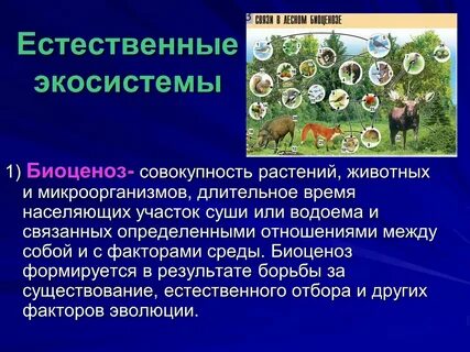 Роль животных в природных сообществах 7 класс биология презентация. Таким образом растения выполняют роль животные причем. Отрицательная роль животных в природных сообществах. Таким образом растения выполняют роль животные причем. Таким образом растения выполняют роль животные причем.