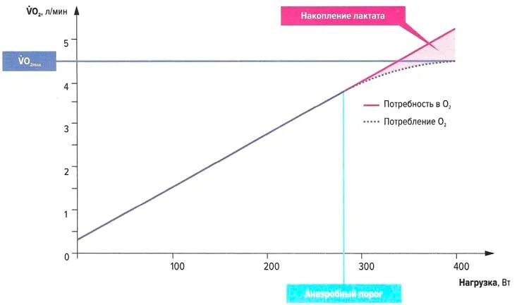 аэробный порог чсс. аэробный порог и анаэробный порог. аэробный порог как определить. аэробный порог и анаэробный порог. аэробные нагрузки презентация.