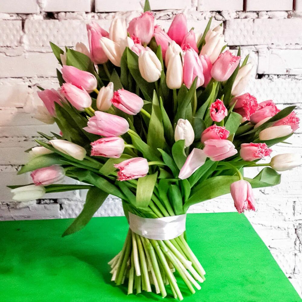 Тюльпан пинк. Нежные тюльпаны. Нежные цветы тюльпаны. Весенние цветы тюльпаны. Тюльпан pink pride.