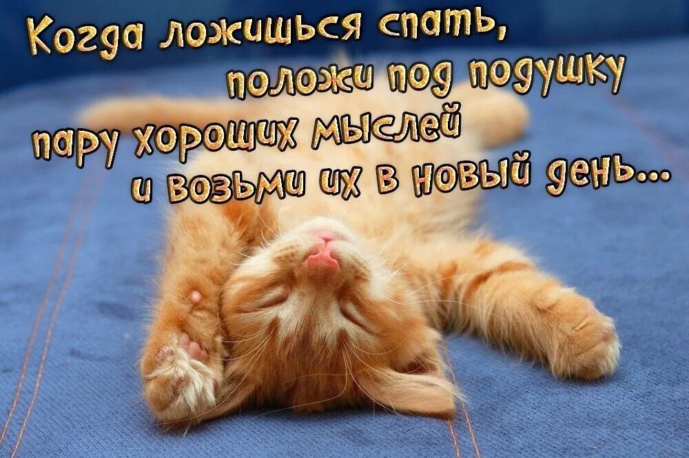 Когда она ложилась спать слушать. Спать картинки. Спящий совенок. Время спать картинки. Точное время ложиться спать это когда.