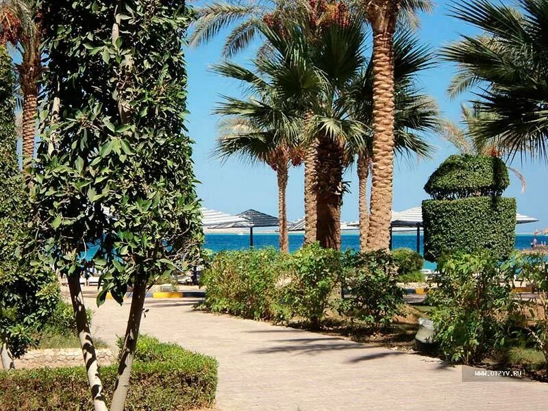 Regina beach. Отель в хургаде swiss inn resort hurghada. Отель zya regina resort & aqua park 4*. Реджина аква египет. Zya regina resort aqua park 4 хургада.