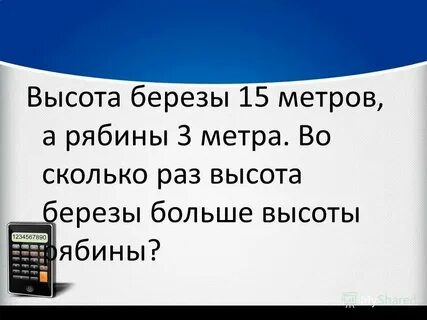 Высота березы 15м а рябины