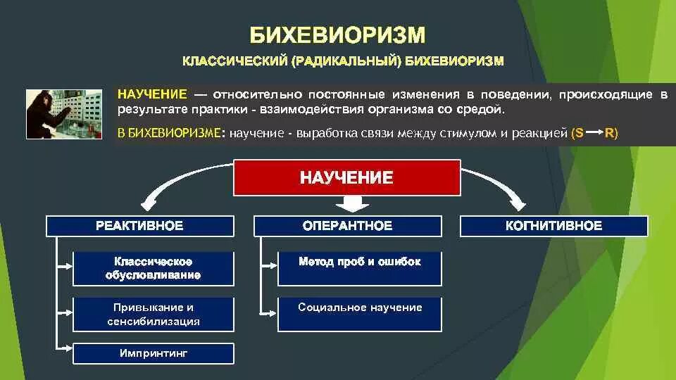 Научение в бихевиоризме. Теория научения бихевиоризм. Типы научения в бихевиоризме. Концепции научения НЕОБИХЕВИОРИСТЫ. Концепция научения в бихевиоризме..