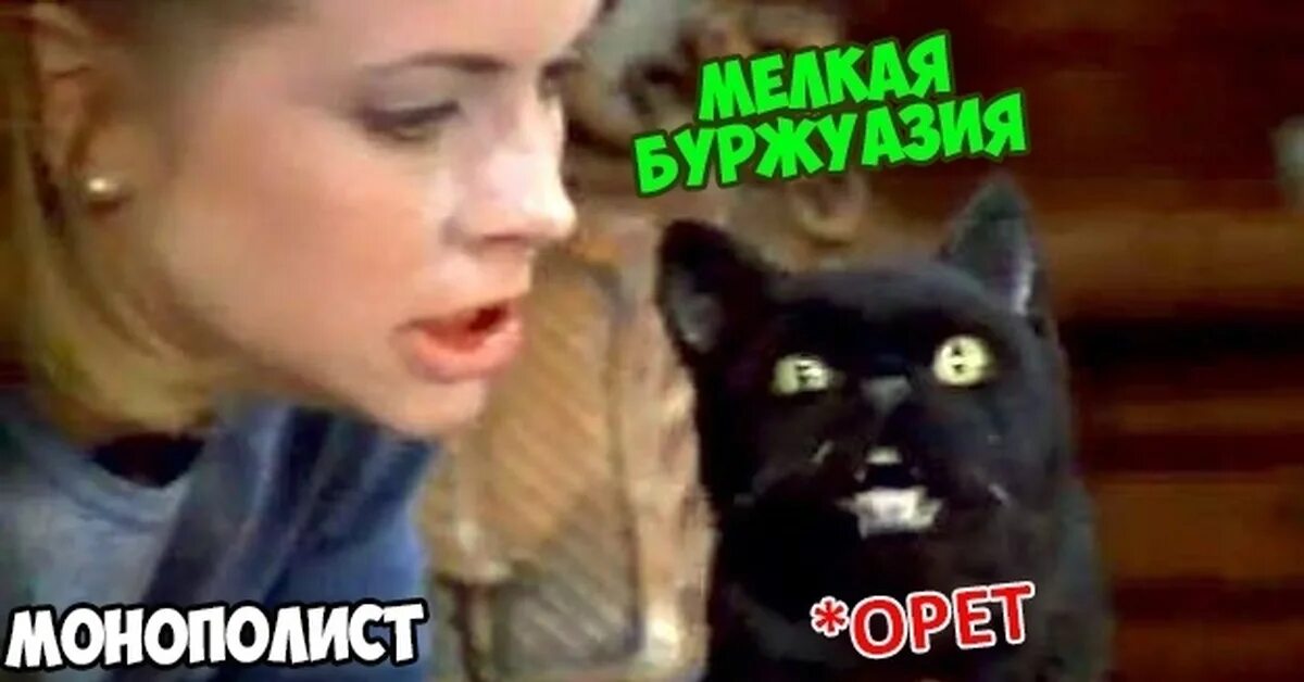Ведьма и говорящий кот. Ведьма и говорящий кот