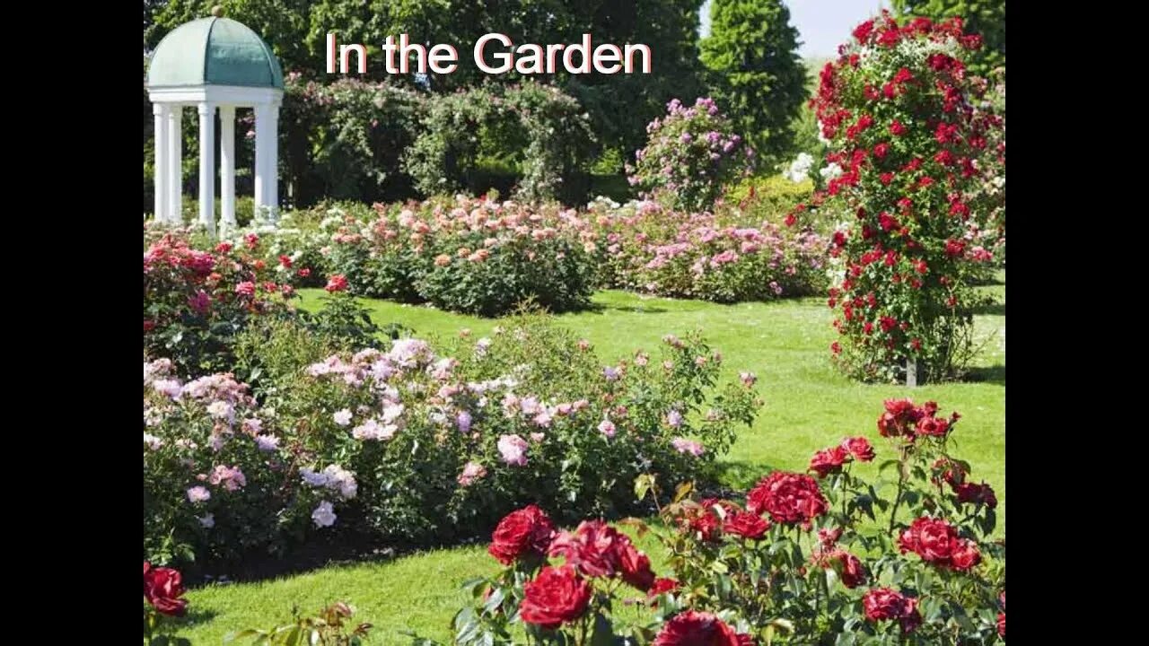 Rose garden. Розы в мавританском саду. Прага сад с розами. Розарий валь де марн. Багатель розарий в париже.