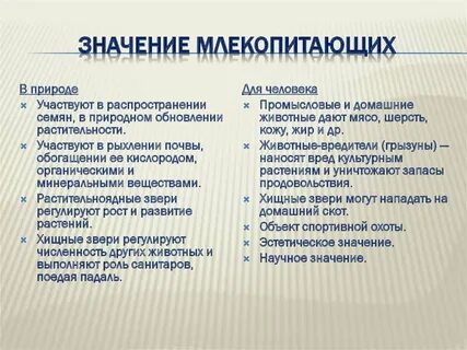 Какого их значение в жизни человека