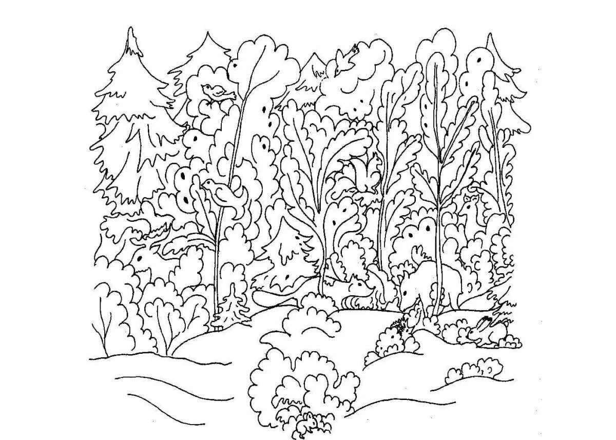 Раскраска окружающий мир 1 класс. В лесу. Раскраска. Лес раскраска для детей. Раскраска леса для детей. Осенний пейзаж раскраска.