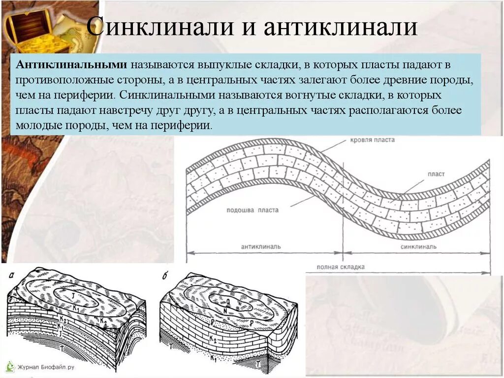 Как образуются складки