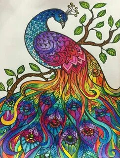 Рисунки раскрашенные цветными карандашами