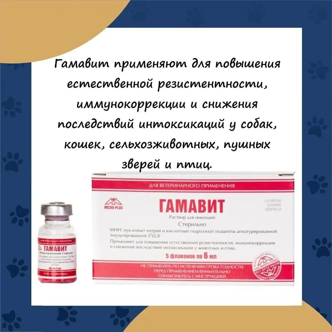 Препарат гамавит для лошадей. Гамавит для собак. 5 флак. Гамавит условия хранения после вскрытия. Гамавит куда колоть.