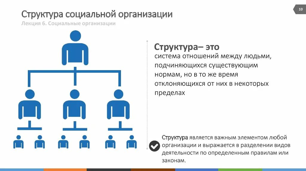 Структура социальной организации. Структура социальной организации предприятия. Социальная организационная структура. Организационная структура социальной организации.