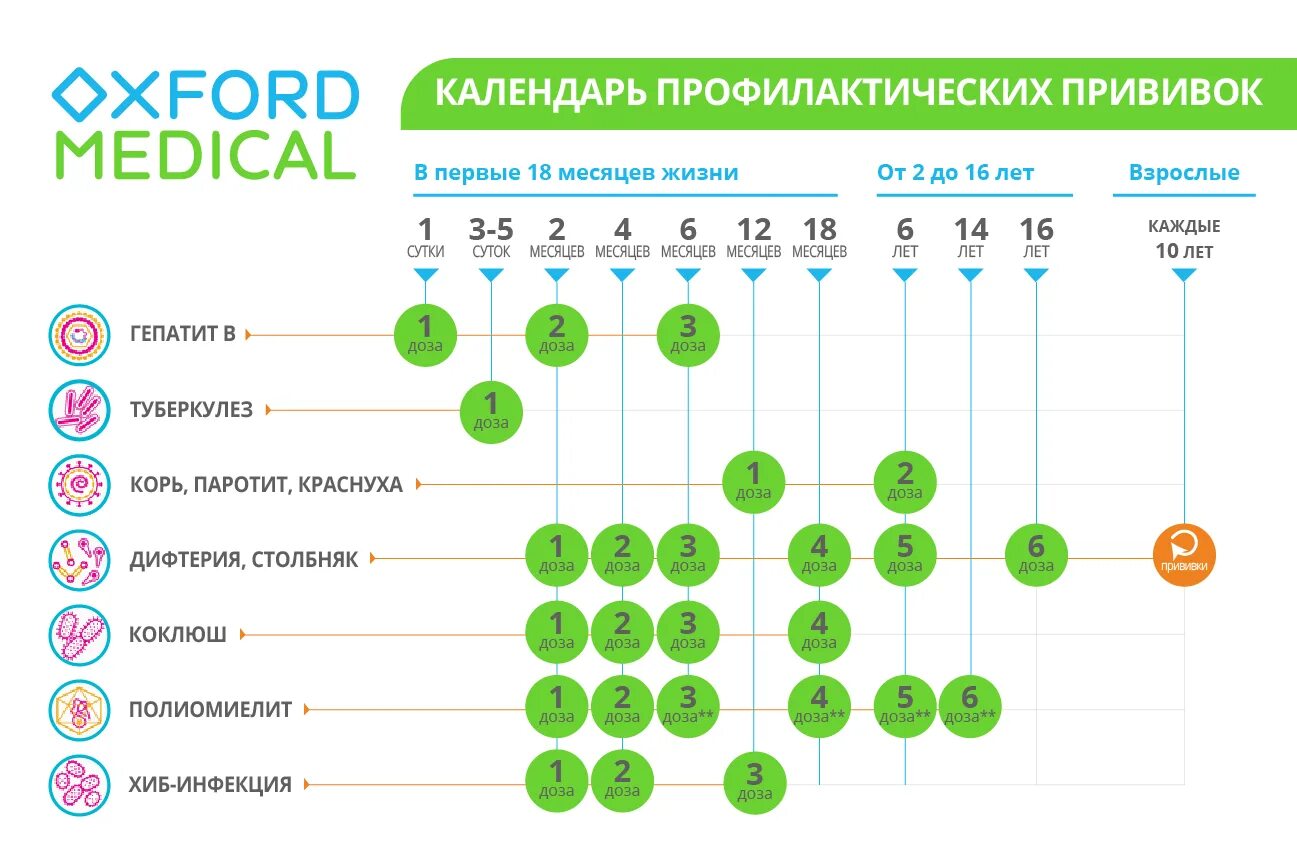 Российский национальный календарь. Календарь прививок для детей 2021. Прививки календарь прививок для детей 2021. Календарь прививок до года 2021. Национальный календарь прививок на 2021 год.