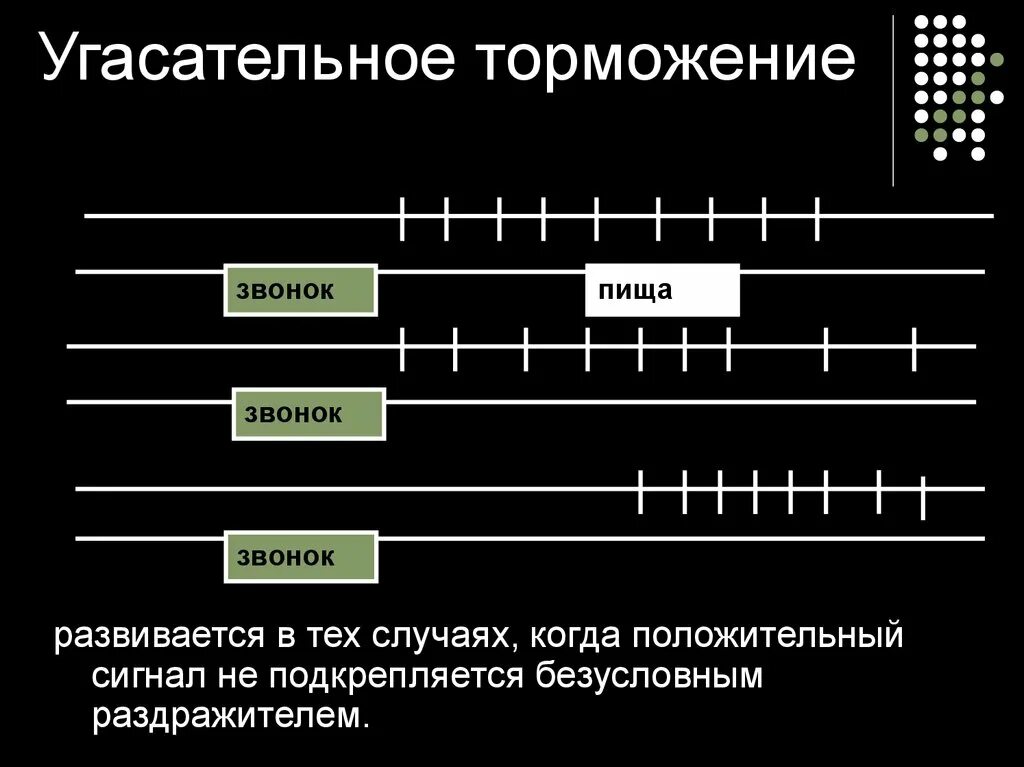 Угасательное торможение. Угасательное торможение примеры. угасательное торможение физиология. угасательное условное торможение примеры.