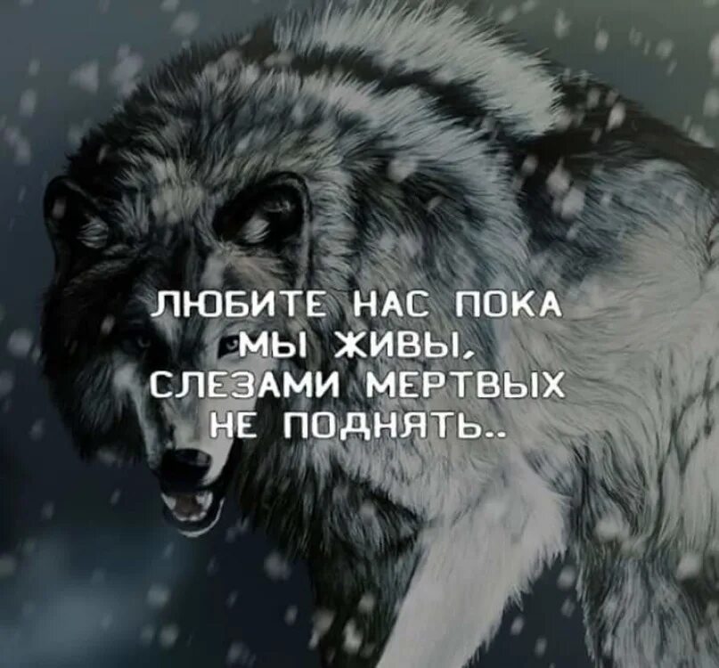 Цени пока живой. Любите нас пока мы живы слезами мертвых не поднять. Любите нас пока мы живы слезами. Тату любите нас пока мы живы. Любите пока живы.