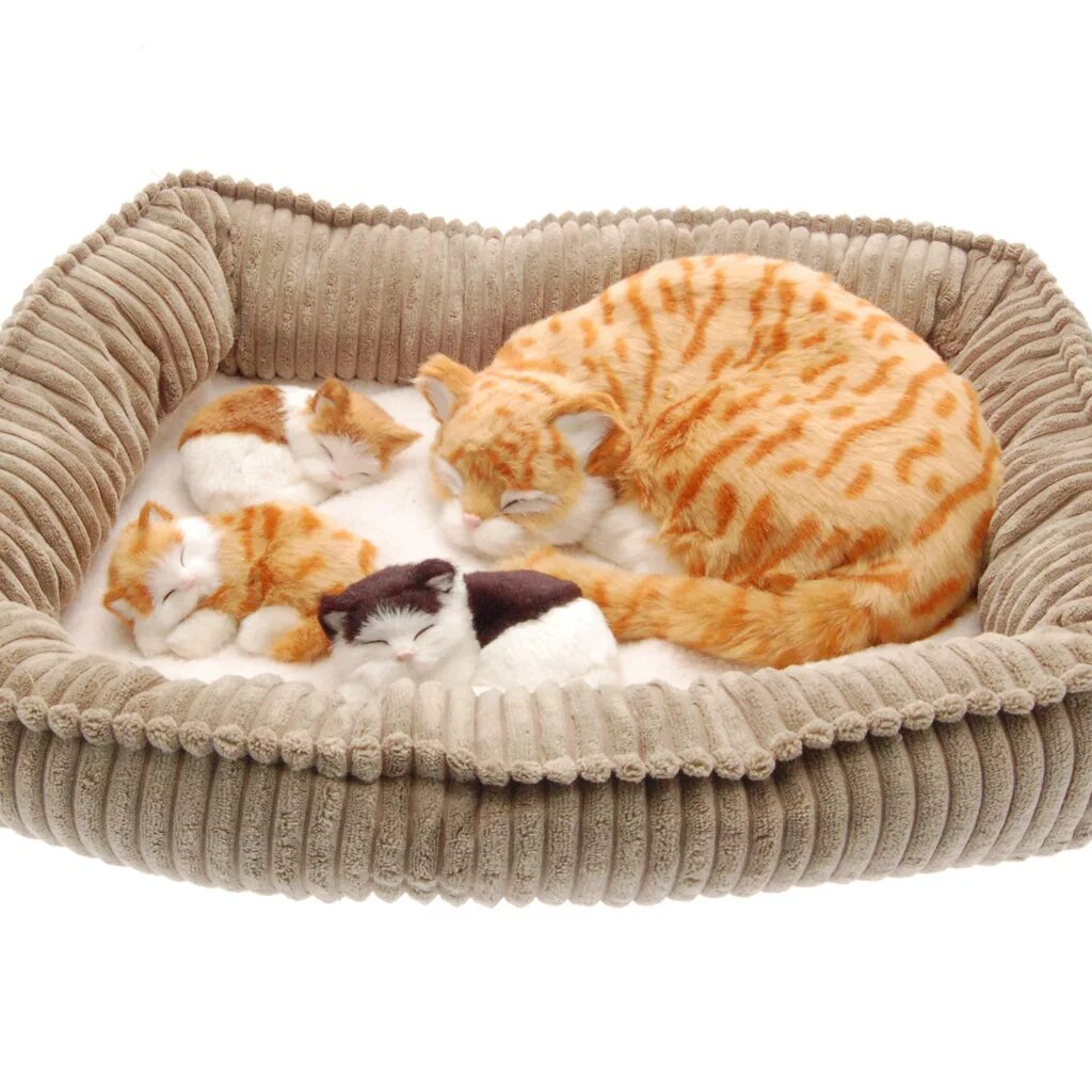 Perfect Petzzz кошка. Perfect Petzzz вся коллекция. Cat nap игрушка. Perfect Cat petzz игрушка. Cat nap игрушка купить