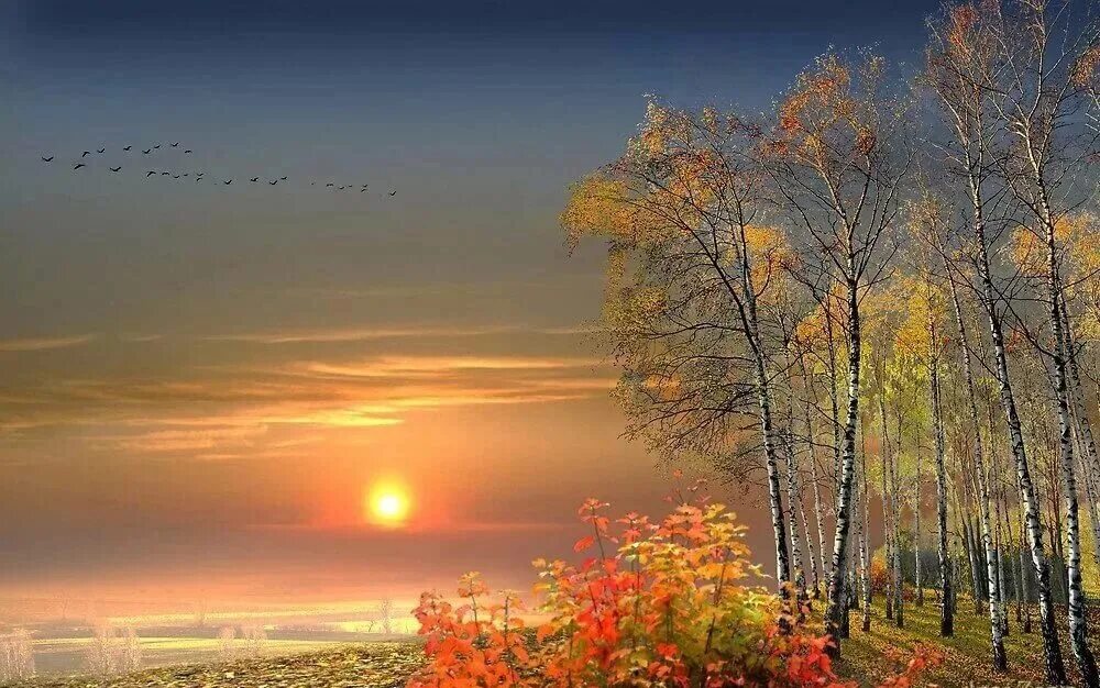 Осенний вечер так печален. Осенний вечер так печален. Пасмурный вечер. Осенний вечер на пруду. Природный пейзаж осенние сумерки.