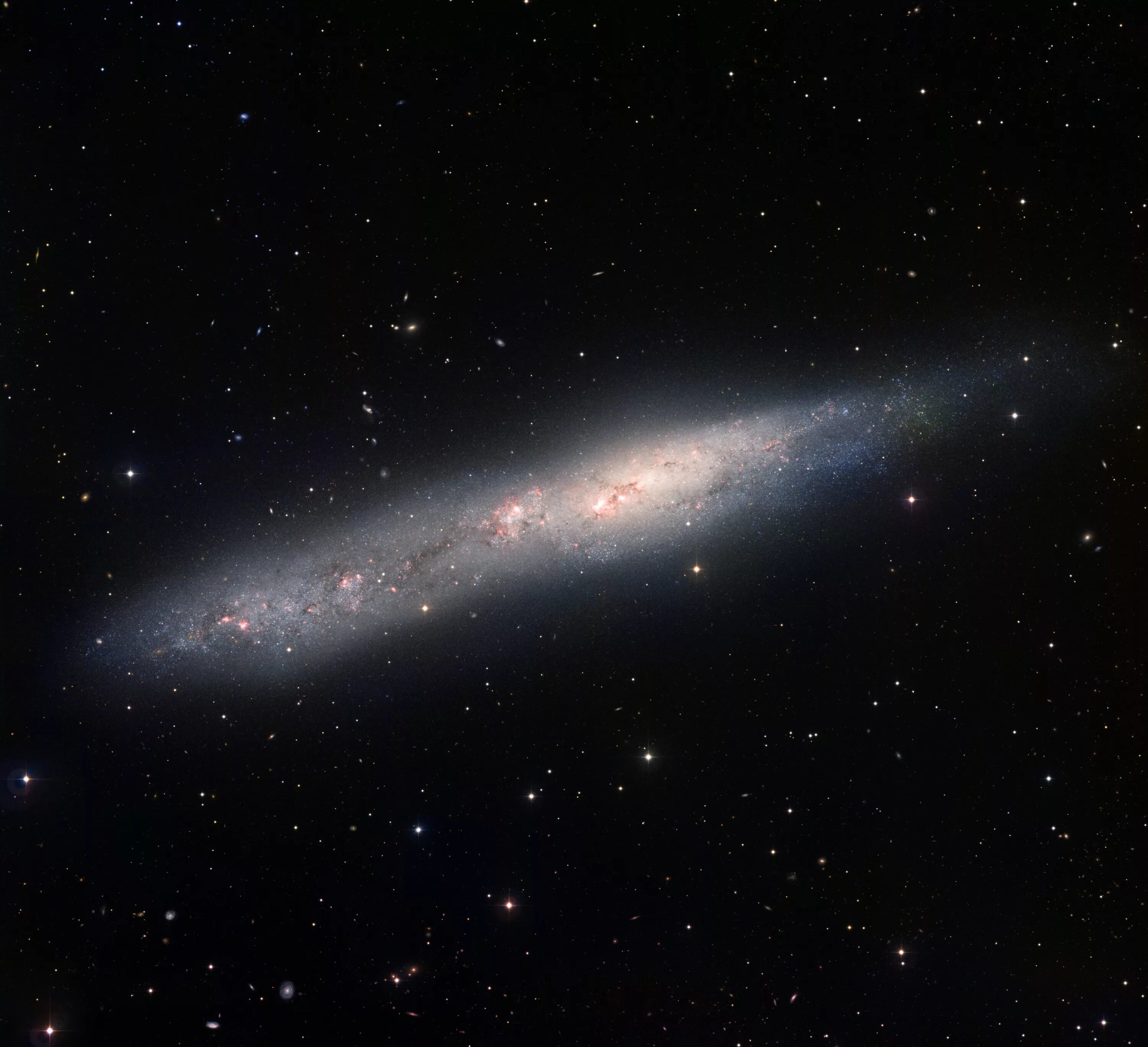 Созвездие 55. NGC 1566 (Галактика испанский танцор). Карликовая неправильная Галактика NGC 1569. Галактика NGC 1313. Галактика NGC 1512.