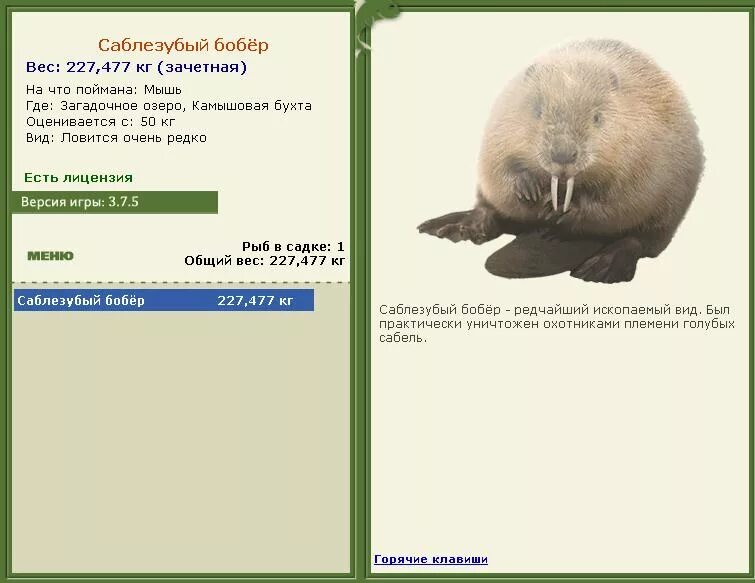 бобер ответы. бобер гифка. речной бобр западносибирский подвид. бобер фото. фон для презентации моя югра.