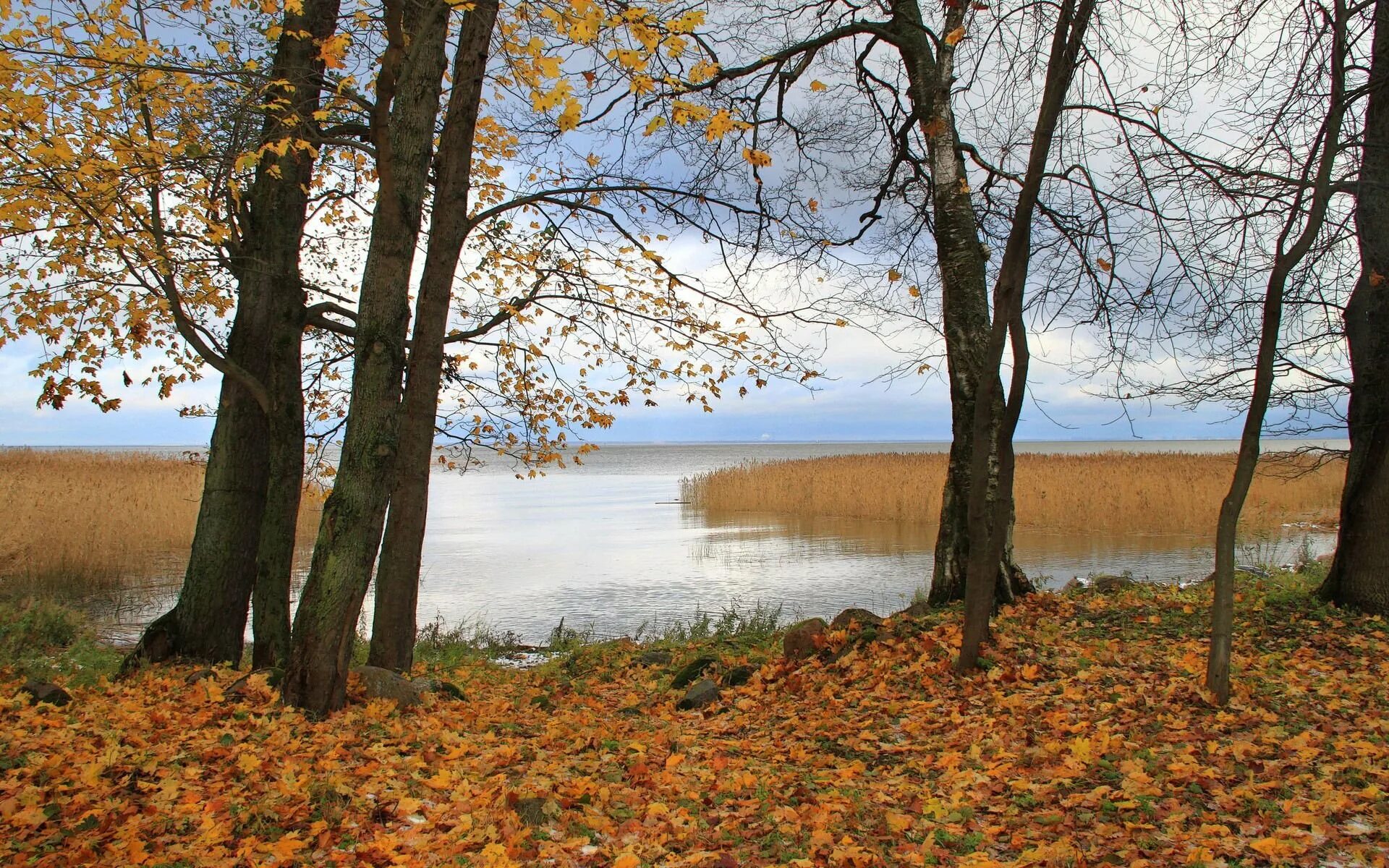 Октябрь картинки. Октябрь природа. Осень октябрь. Поздняя осень. Природа в конце октября.