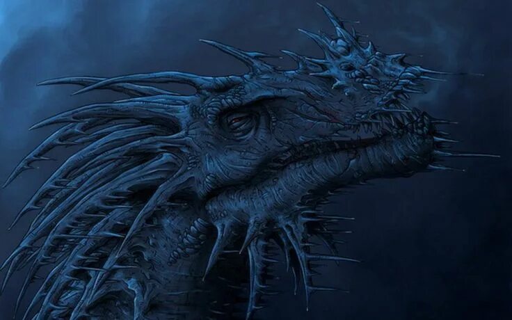 Pin by redactedkwvjdjd on ☫ Dragões ☫ Dragon images, Dragon pictures, Dragon col