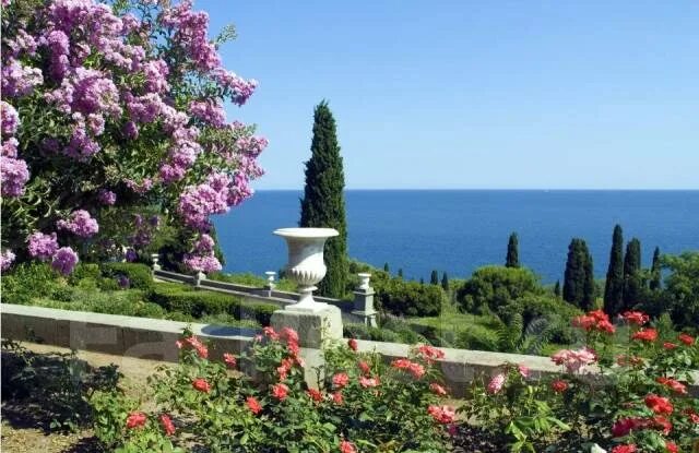 Сказочный парк Воронцовского дворца в Крыму. Дорога длиною в жизнь Park, Plants,