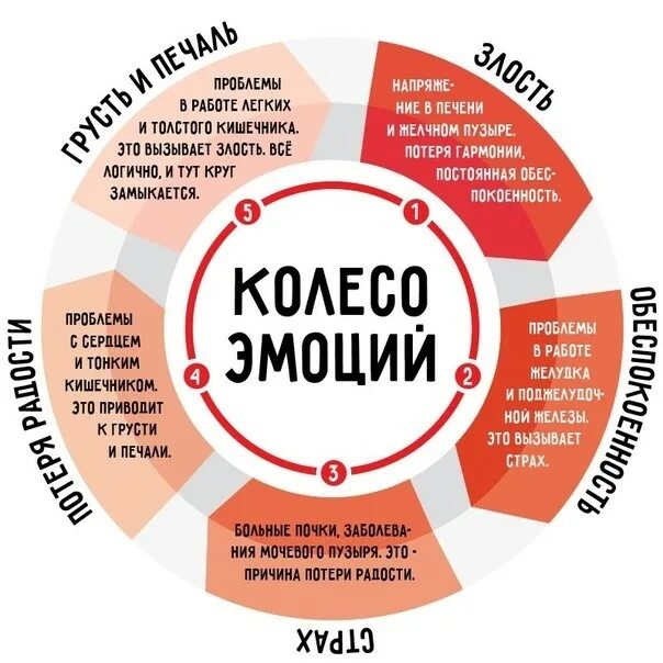 Фото ПРОФЕССИОНАЛЬНЫЕ ЗАДАЧИ ПСИХОЛОГА