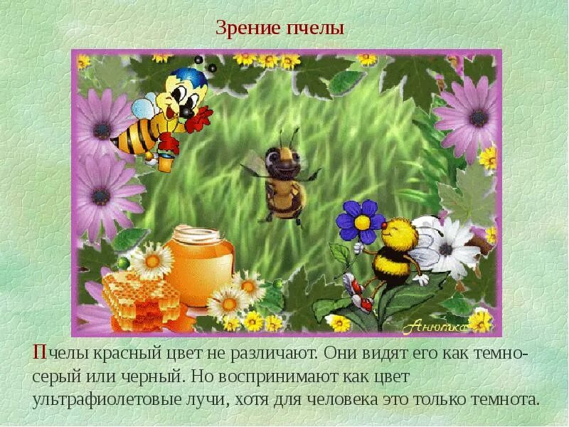 От земли до неба сообщение о пчелах. Интересные факты о пчелах для детей. факты о пчелах для дошкольников. интересное о пчелах для детей 2 класса. интересные факты о пчелах для дошкольников.