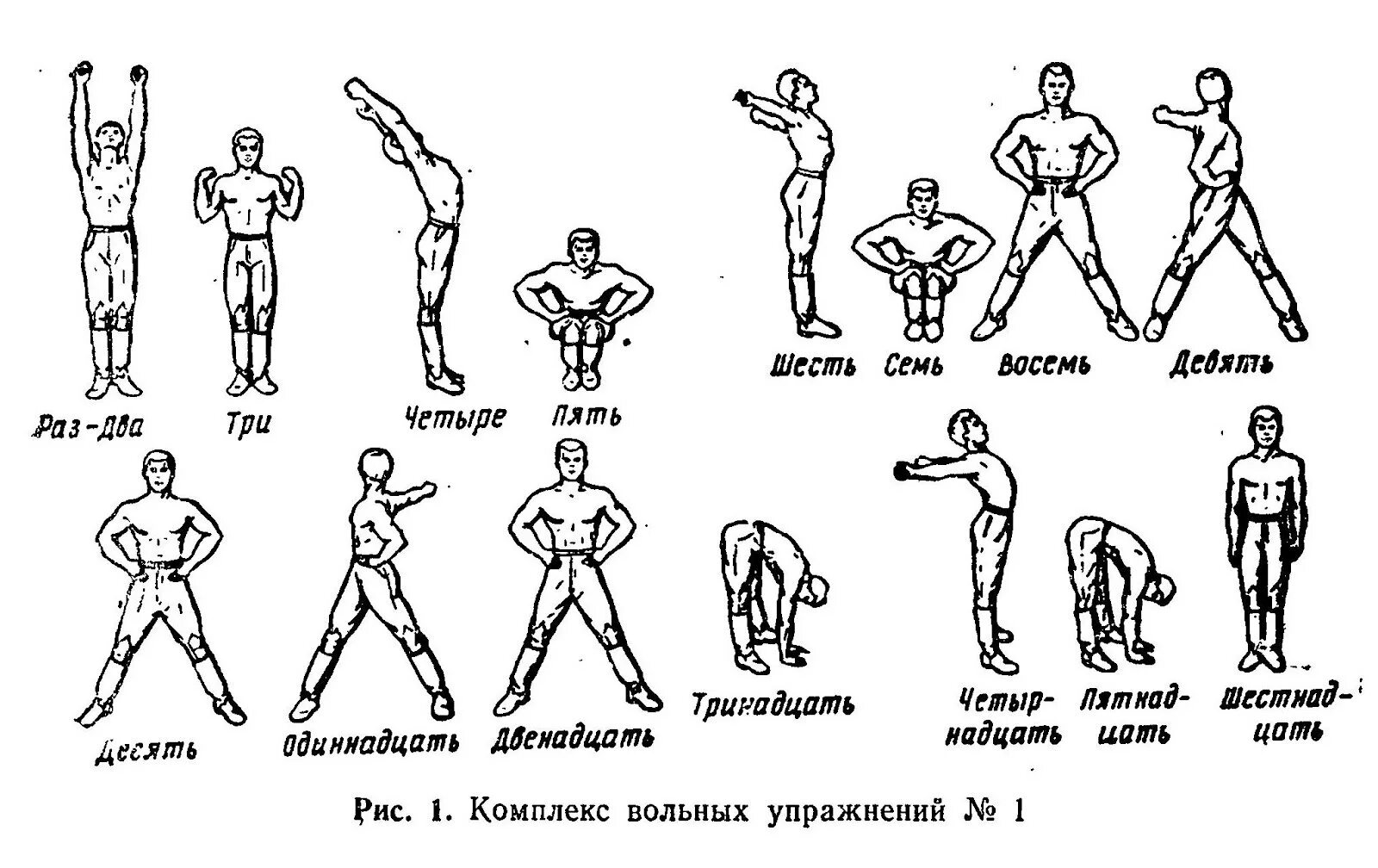 Первая славянская система гимнастики называется. Первая славянская система гимнастики называется