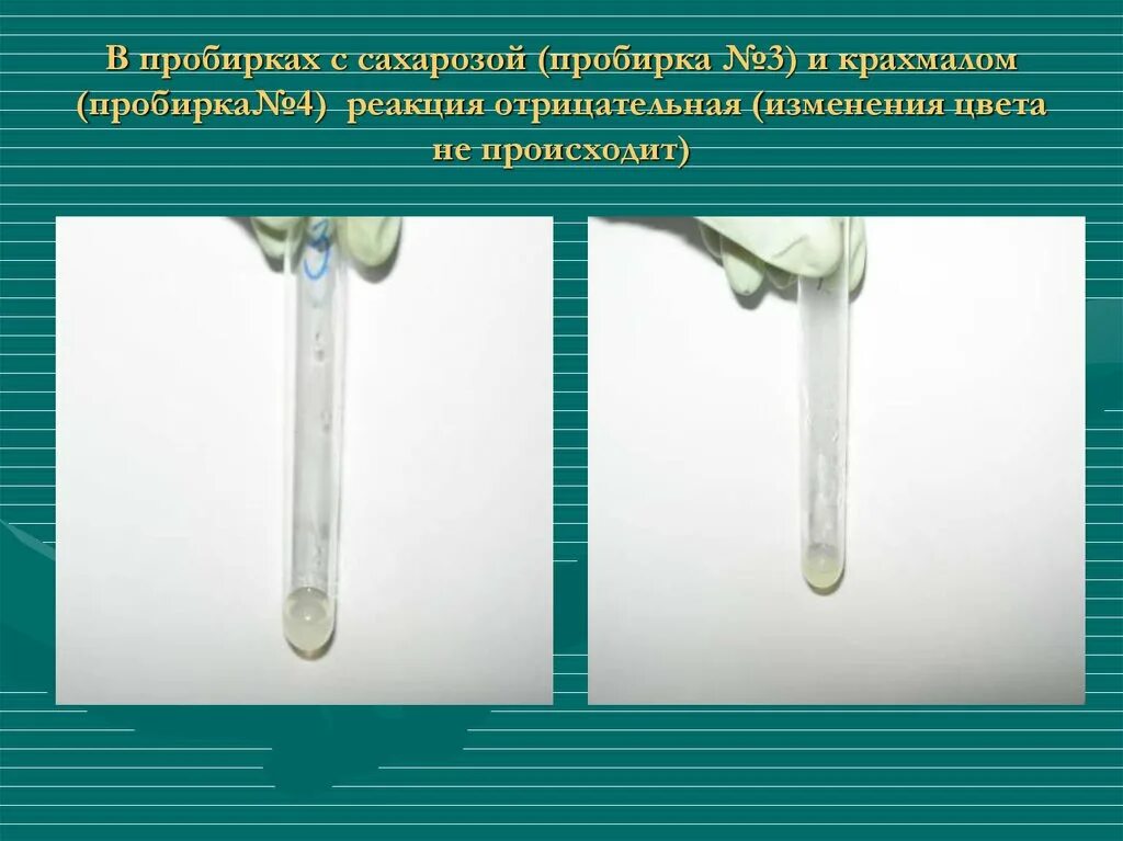 Реакция в пробирке. Сахароза в пробирке. Раствор сахарозы в пробирке. Пробирочные реакции.