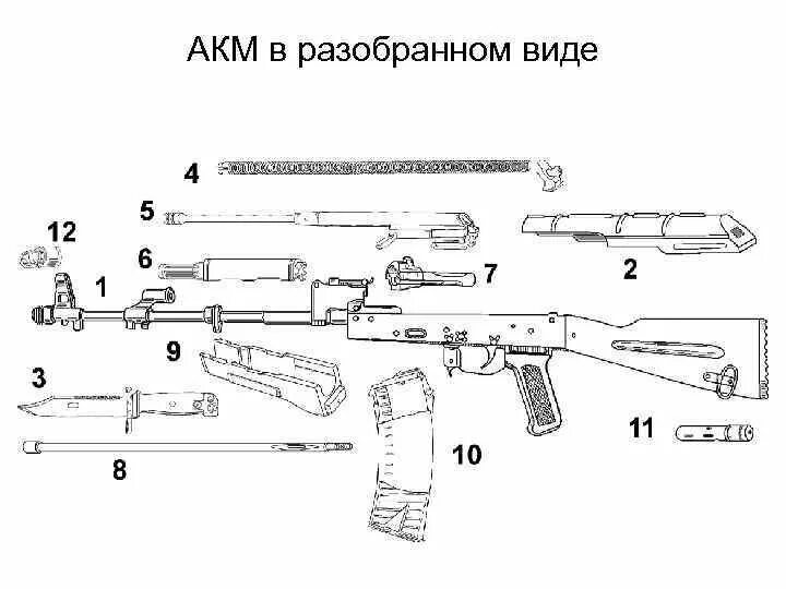 Ак в разборе
