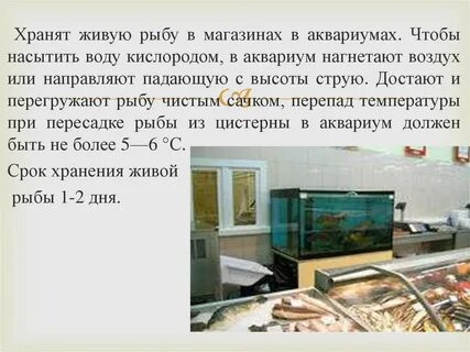 Живой сохранить