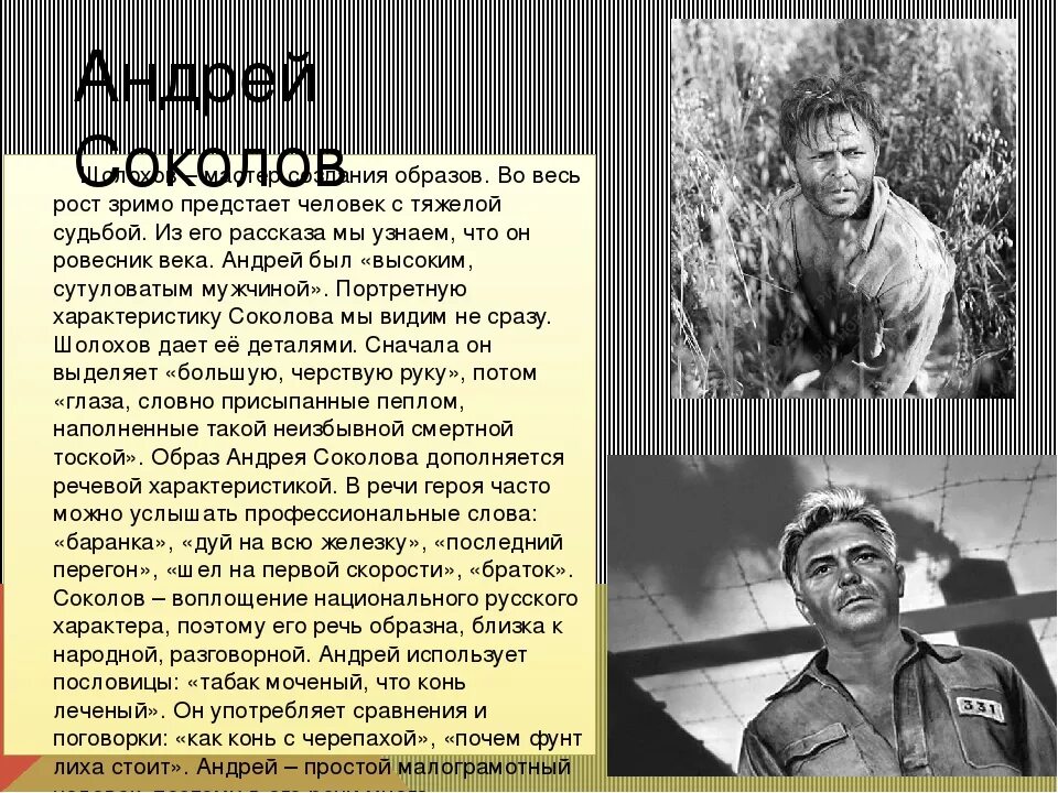 Периоды жизни андрея соколова. Судьба человека Шолохов образ Андрея Соколова. Шолохов судьба человека герои.