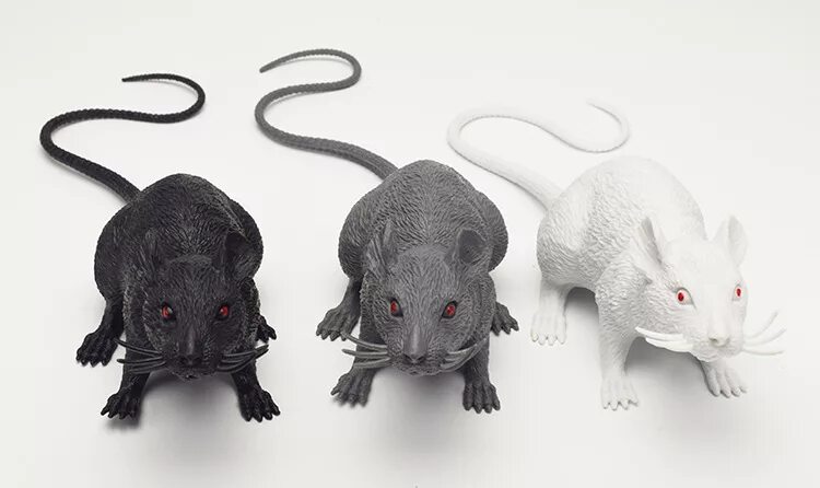 Модели мышей. Мышки пластмассовые. Пластиковая мышка. Крыса пластиковая игрушка. Мышь игрушка реалистичная.