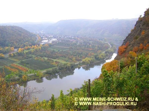 левый приток рейна. слияние рек рейн и мозель. река рейн во франции. левый приток рейна. Mouth of river rhine.
