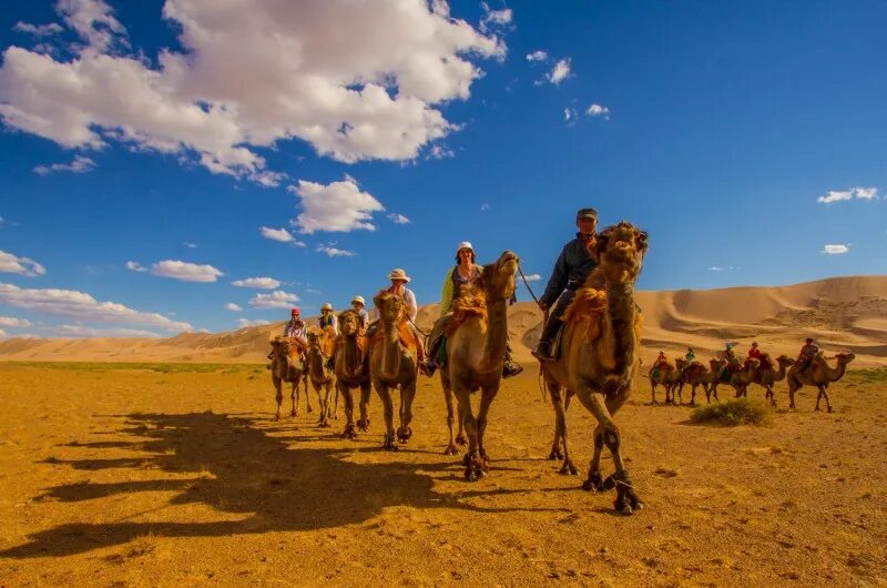 кочевников духа. монголы на алтае. кочевник агинское. монгольская конница чингисхана. кочевник парфюм.