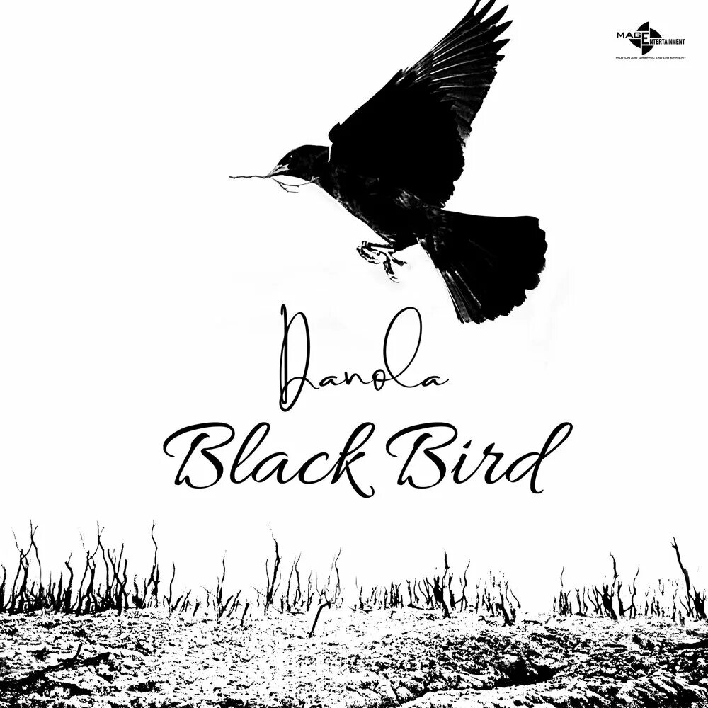 Bird remix. Черная птица обложка. Чёрные птицы Наутилус. Блэк Бирд.