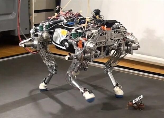 Is a four legged. Робот Биг дог. Stickybot робот. Робот VELOCIROACH. Робот big Dog шаг.