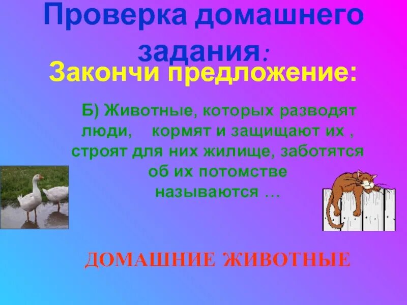 5 7 предложений о животных. Предложения о животных 2 класс. предложение животные. предложение про животных 1 класс. про жвотние предложение.