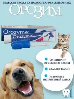 Орозим