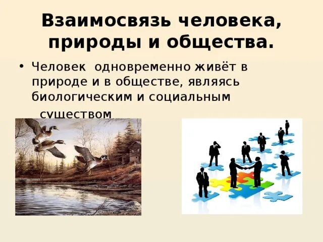 Каковы отношения человека и природы. Взаимосвязь человека и природы. Соотношение человека и природы. Взаимо связь общества и природы. Человек общество природа взаимосвязь природы и общества.