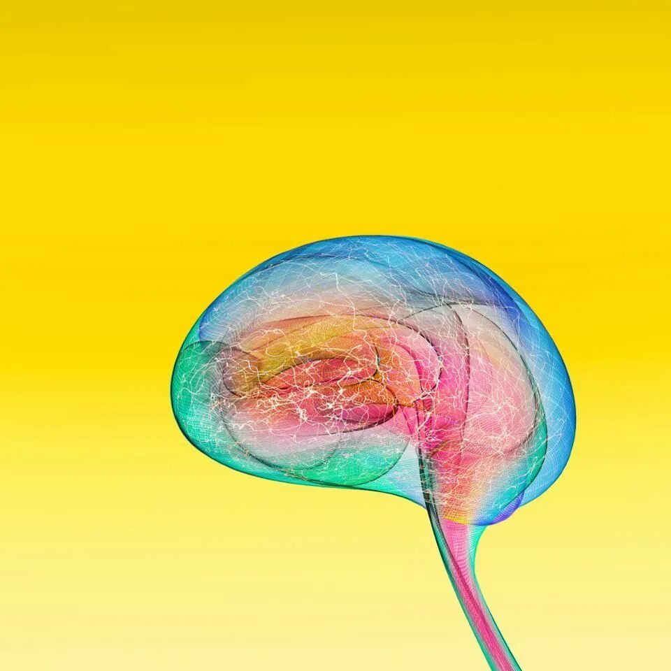Colored brains