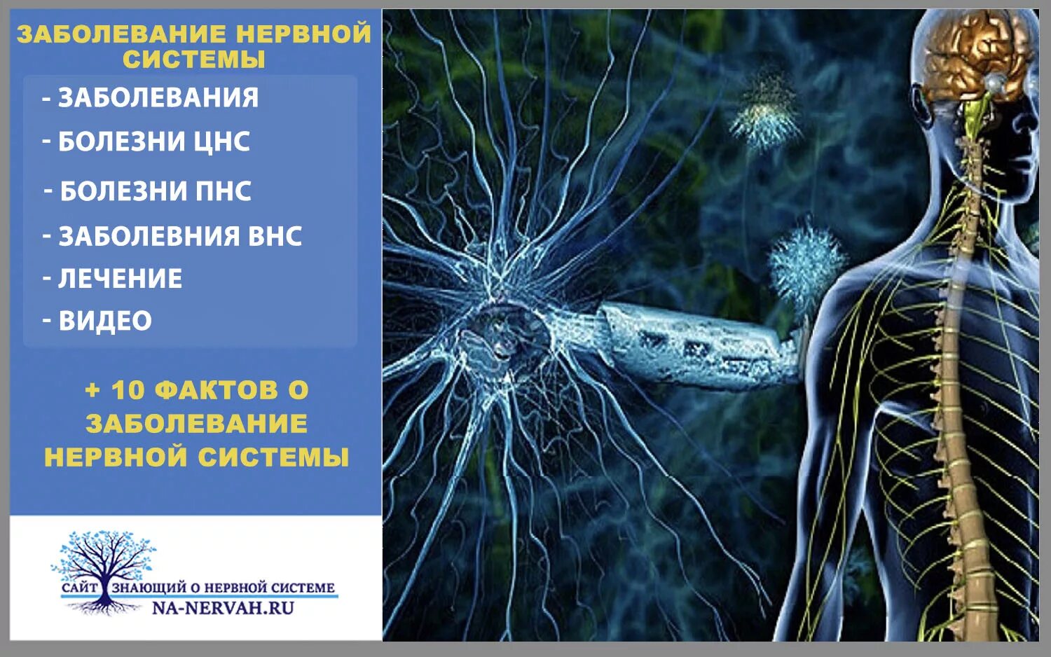 Заболевания нервной системы. Заюолнваниянервной системы. Заболевания периферических нервов. Заболевания центральной нервной системы.