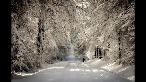Фото фон зима