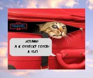 К отпуску готов