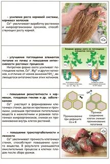С какой целью применяют агроприем