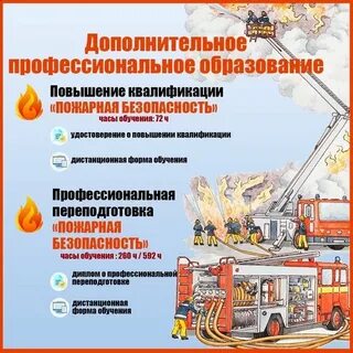 Кинеко программа владивосток сегодня