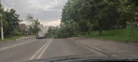 Индекс долгопрудного пацаева